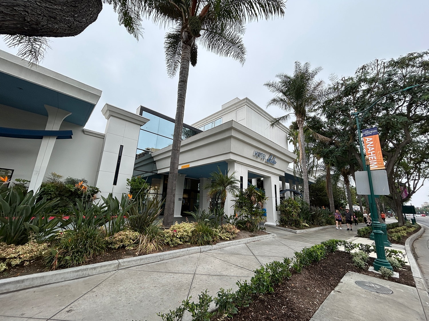 Hotel exterior with palm trees and signage.