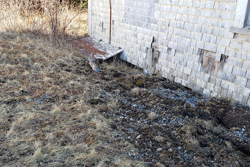 Top Warning Signs Your Home Foundation Needs Repair | Blog